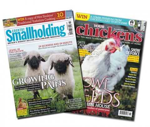 Country Smallholding and Your Chickens